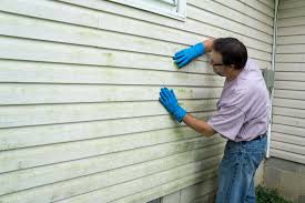 Best Vinyl Siding Installation  in Solvang, CA